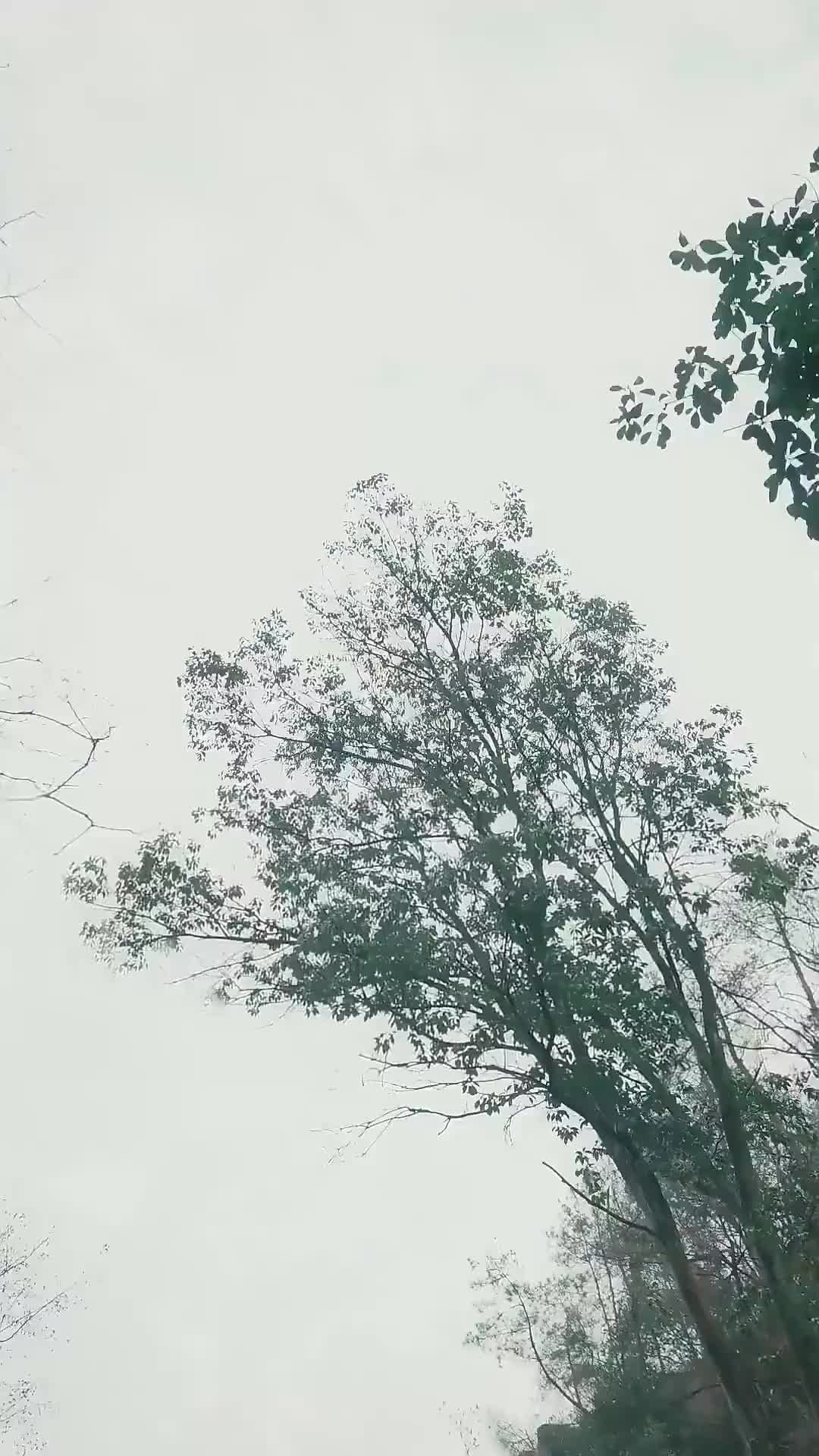 Ep 5