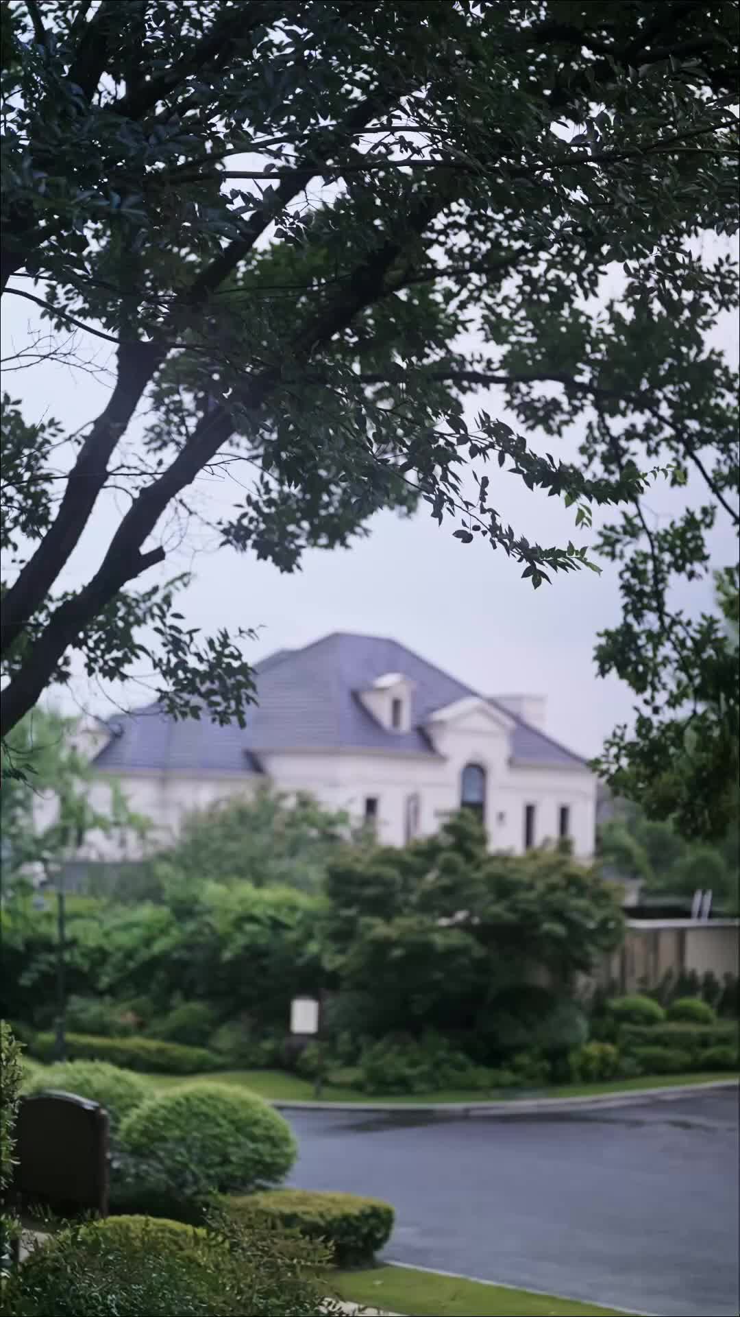 逆襲！從精神病院到首富夫人 第8集