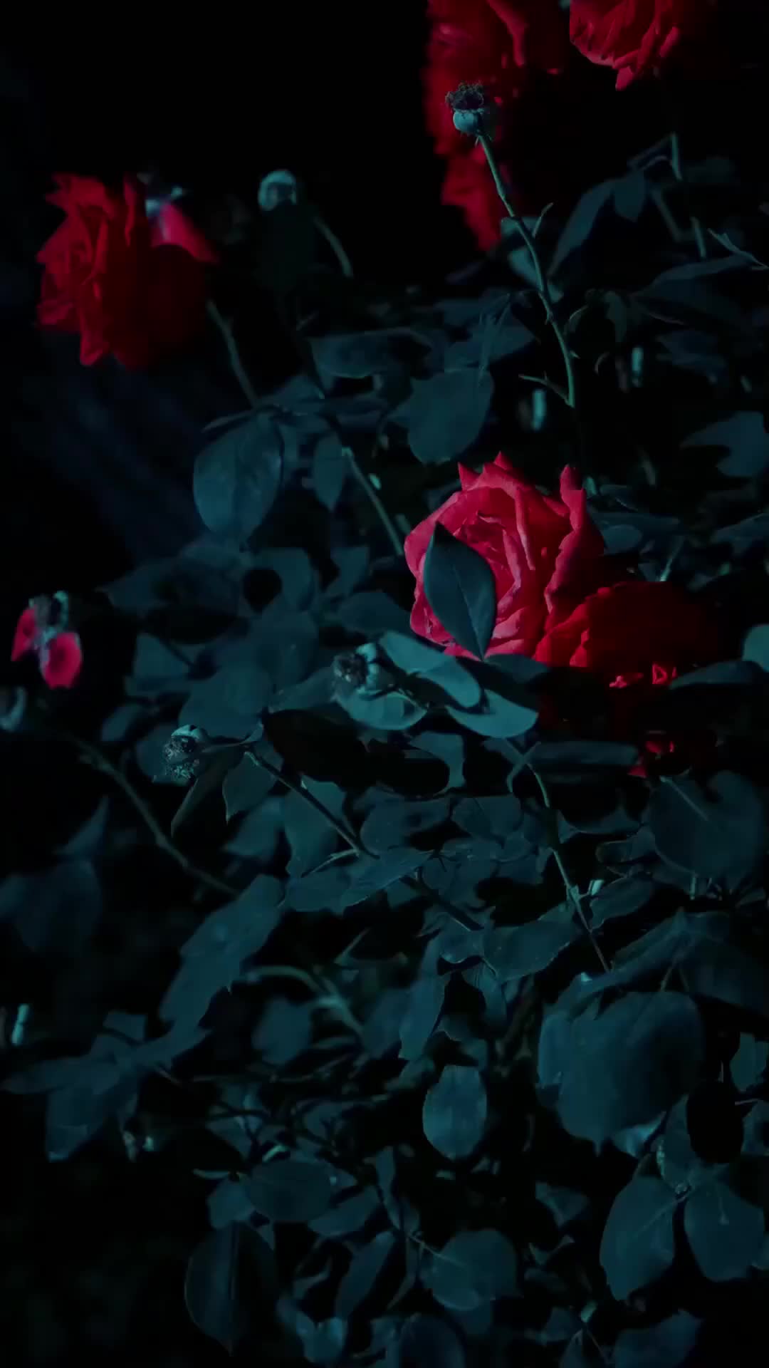 Ep 1