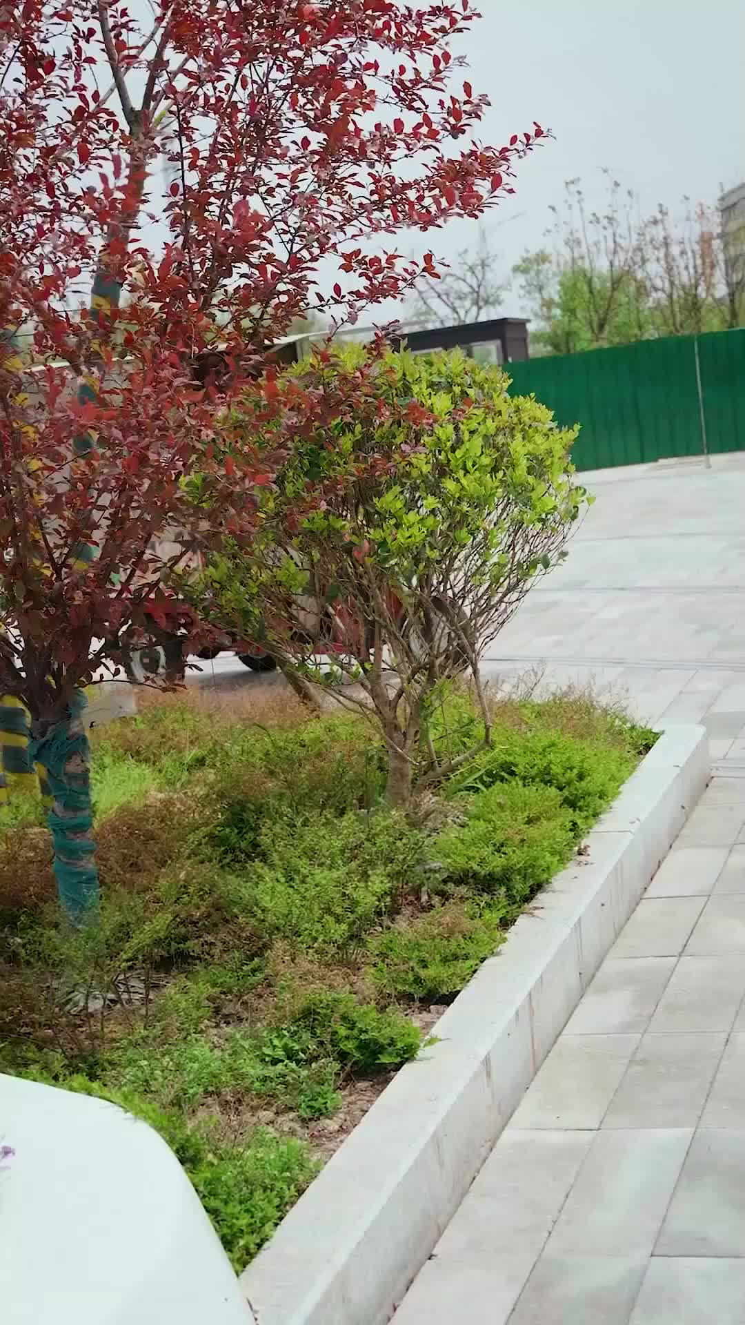 Meus Pais no Farrapo Mandam em Tudo 2Episódio