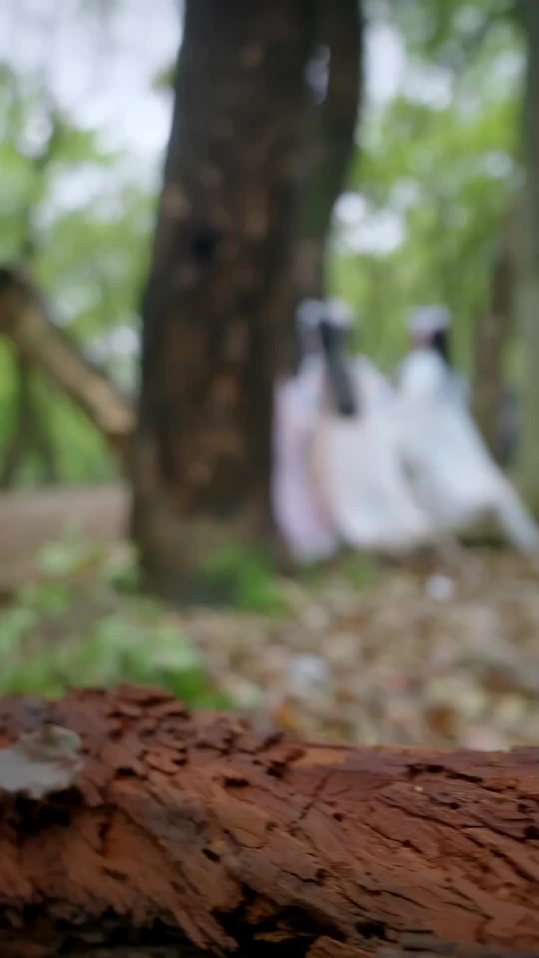 Ep 4