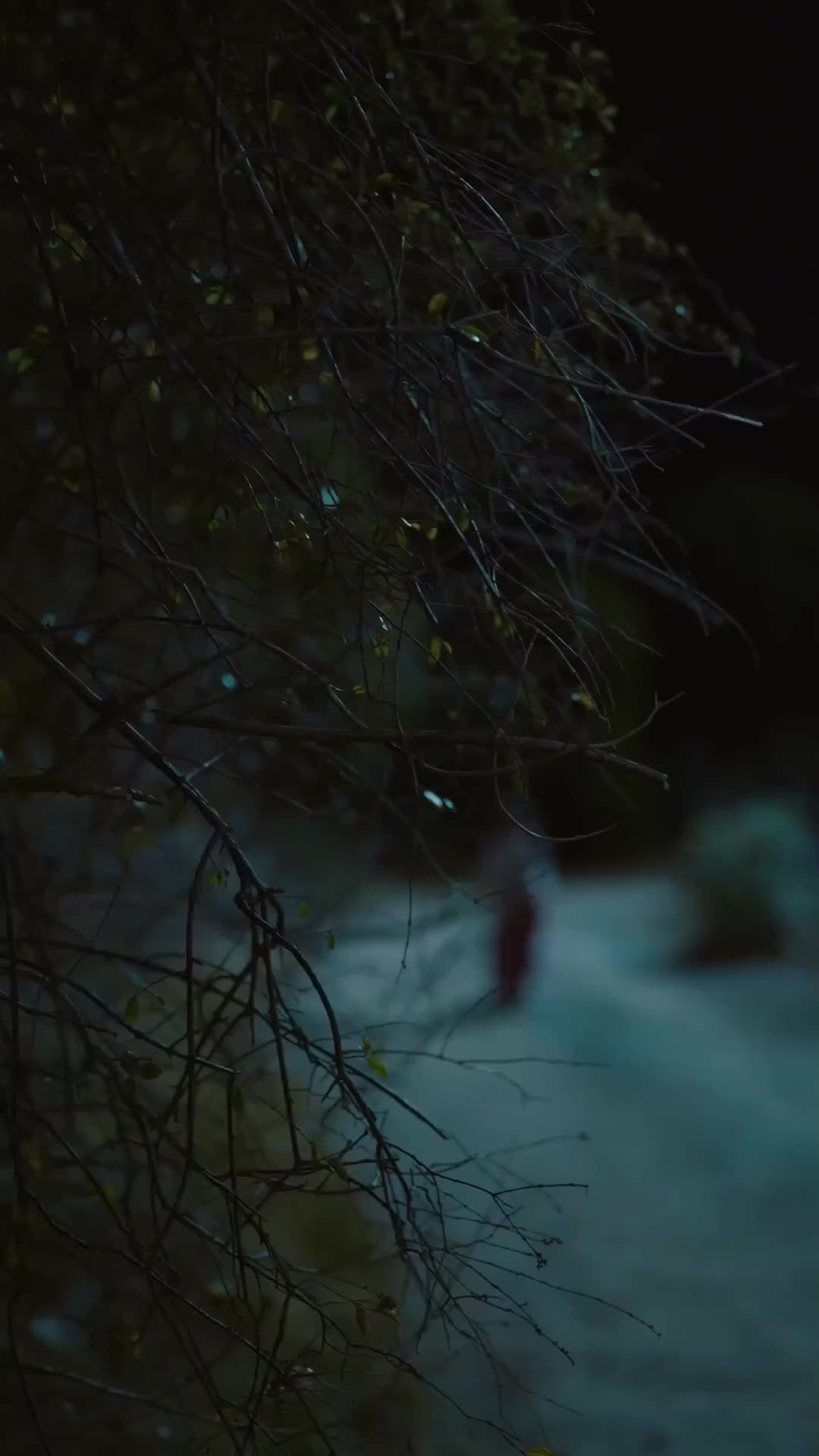 Takdir Cinta di Tengah Penderitaan - Episode 1 - Episode 1