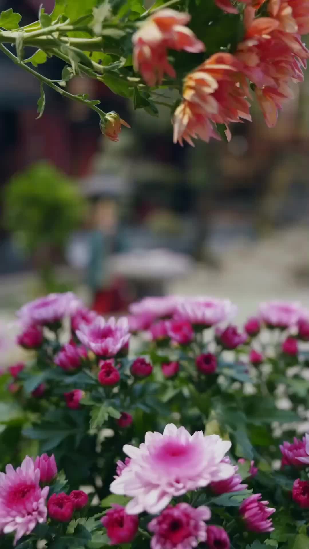 Hati Pangeran yang Membeku - Episode 18 - Episode 18