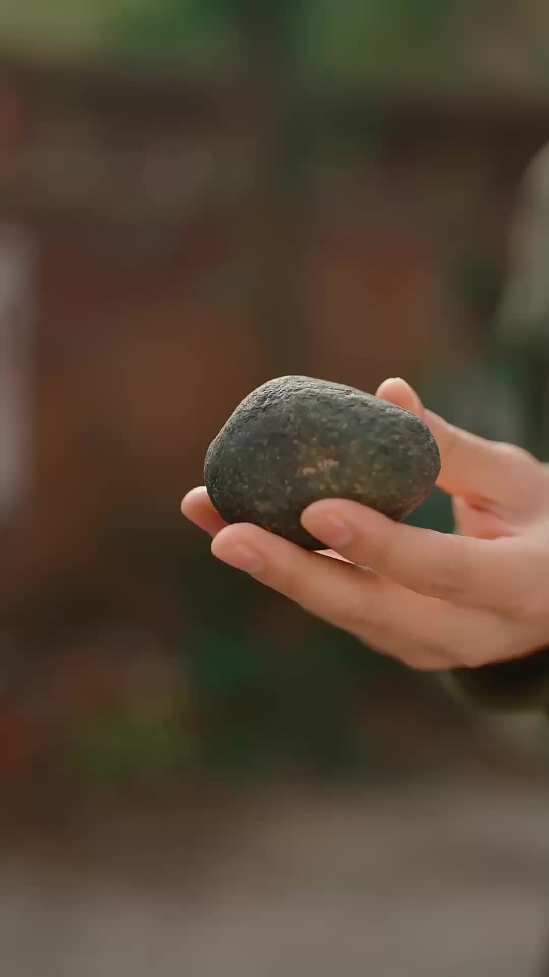 可否许我再重头 第10集