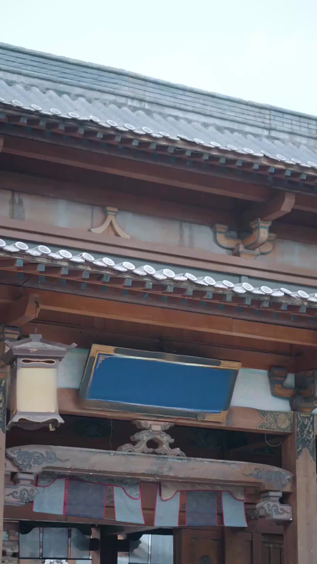 悍妃嫁紈絝,攜手奪江山 第8集