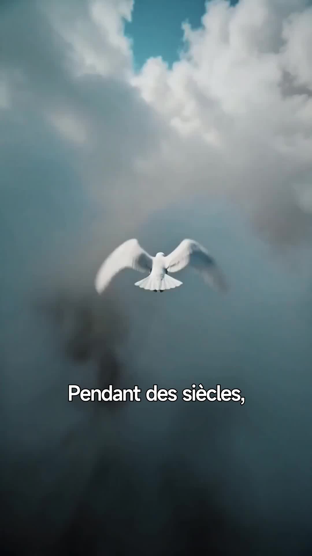 Mon Ange de la Fortune m'a Couronnée Reine Épisode1