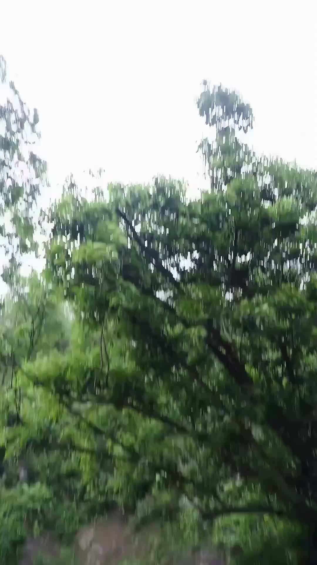 Ep 61