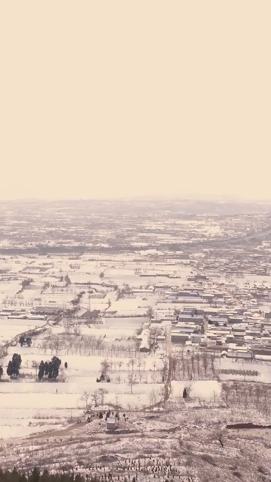 Ep 8