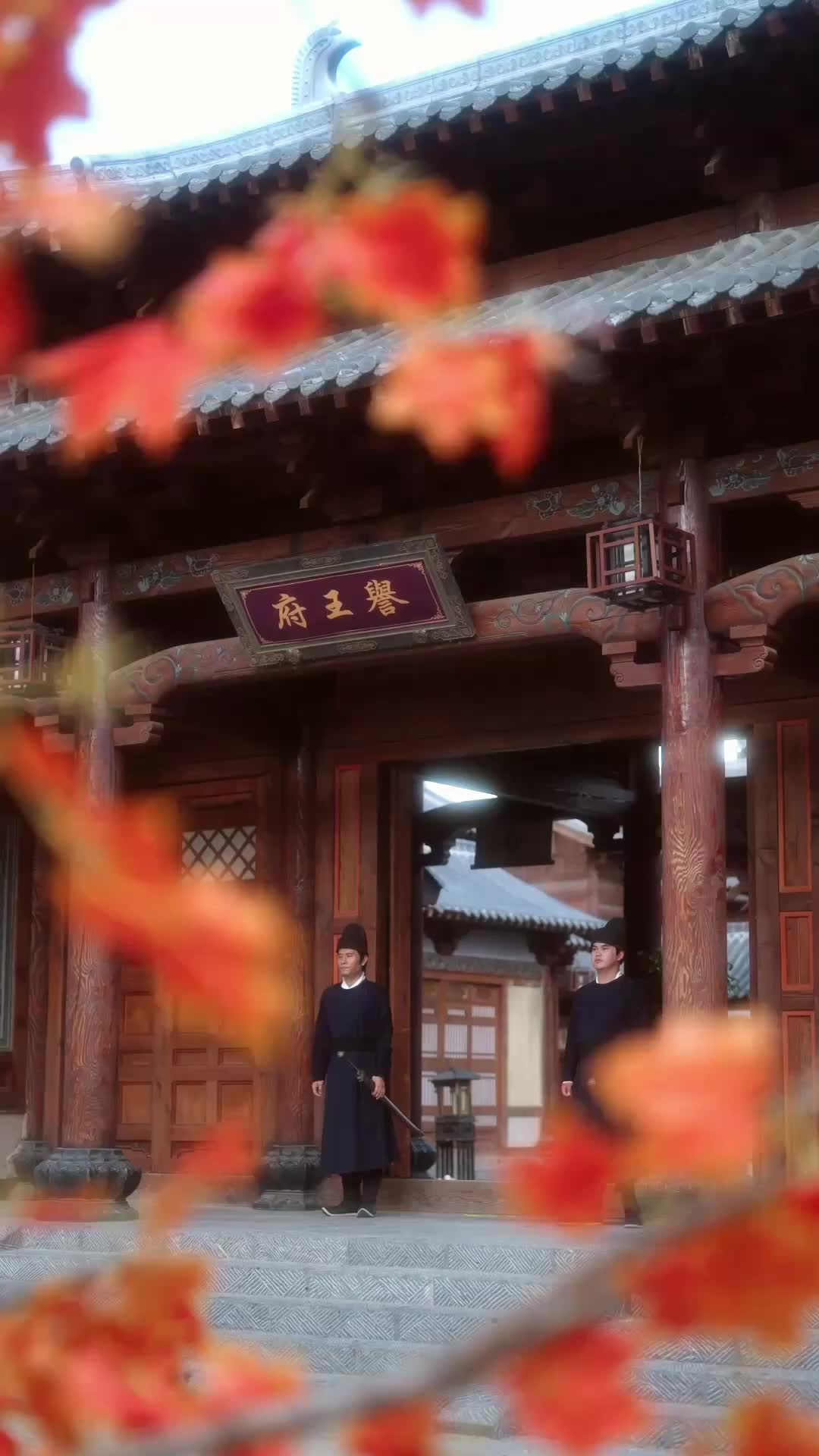 Ep 50
