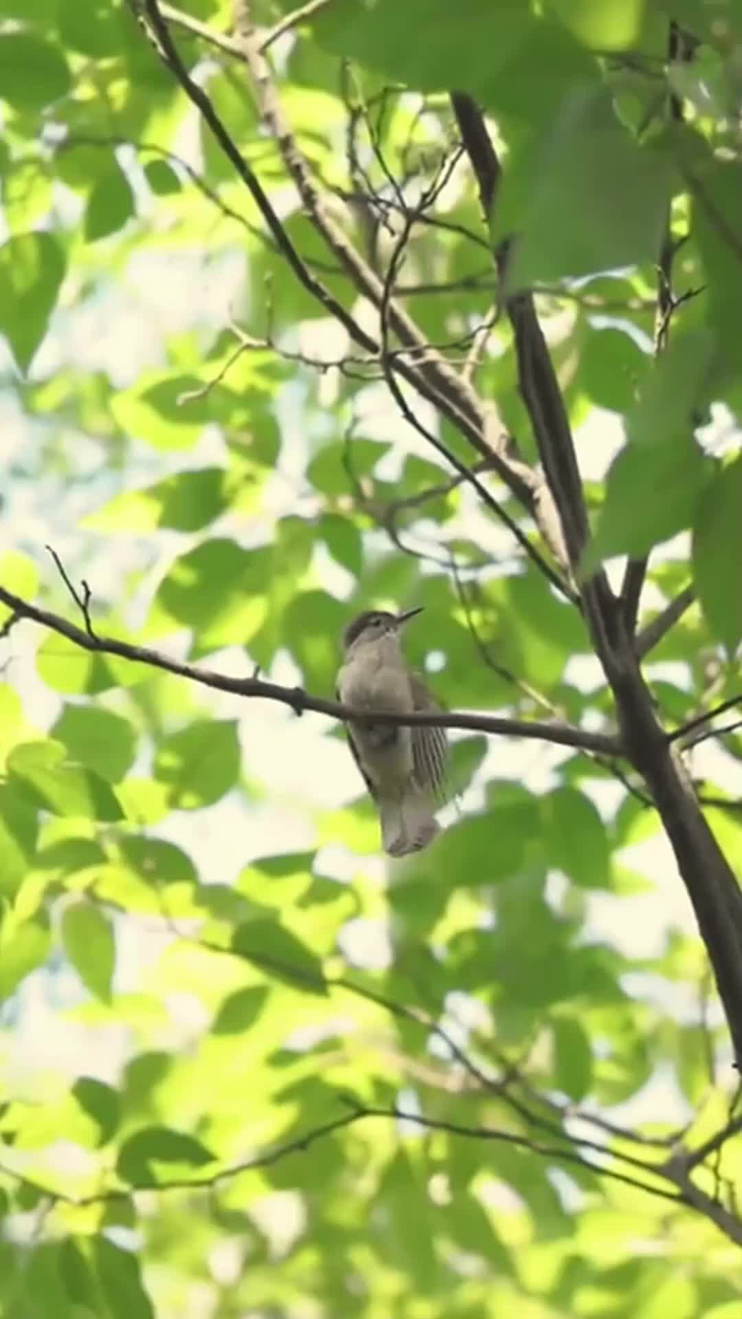 나를 지켜준 건 소꿉친구였다 제6회