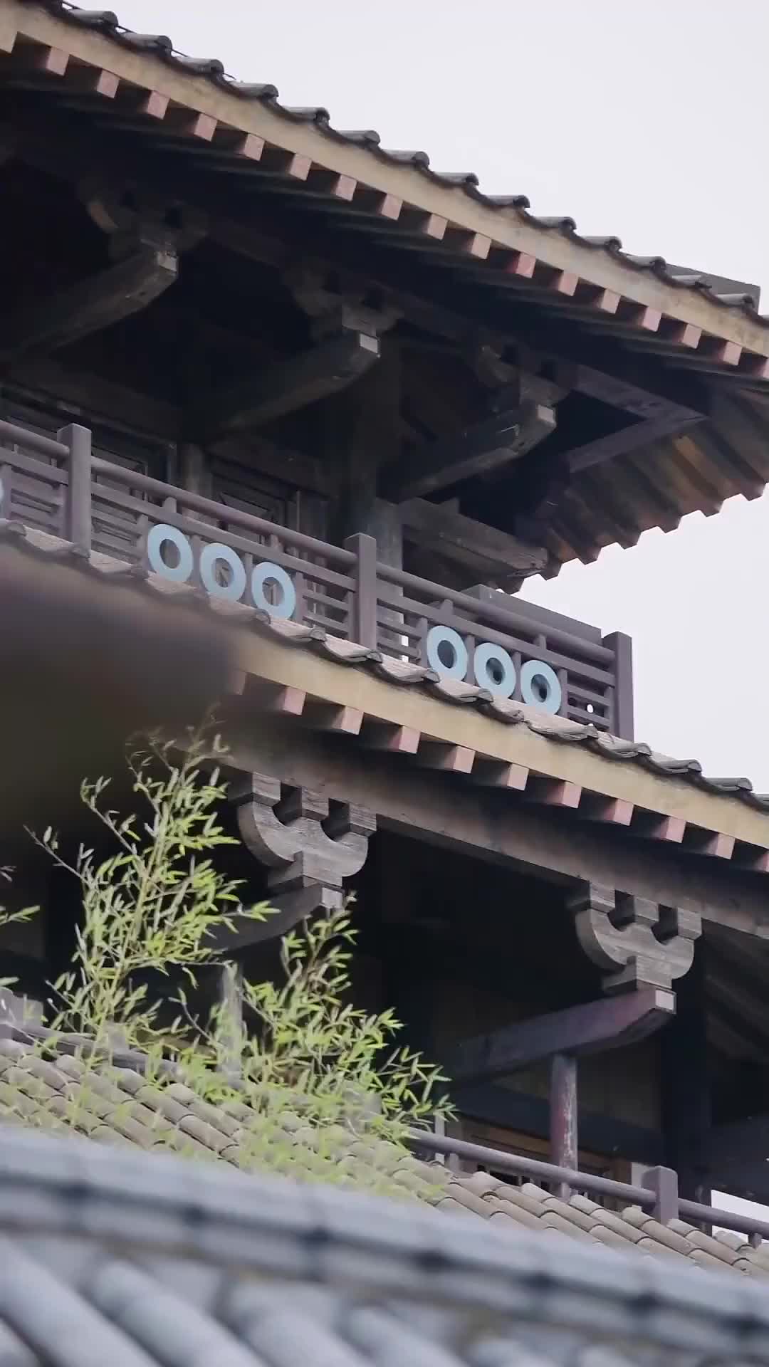 Ep 40